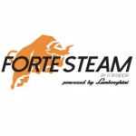 ForteSteam Logo