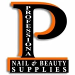 pnb LOGO 2009